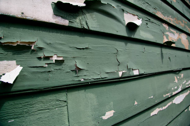 Best Recycling Services for Junk  in Woodson Terrace, MO