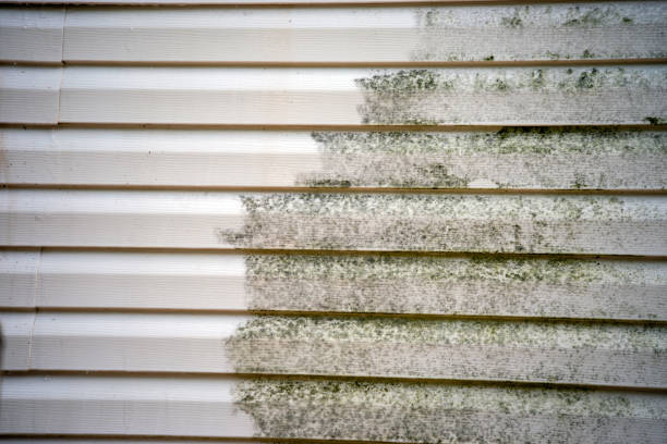 Best Shed Removal  in Woodson Terrace, MO